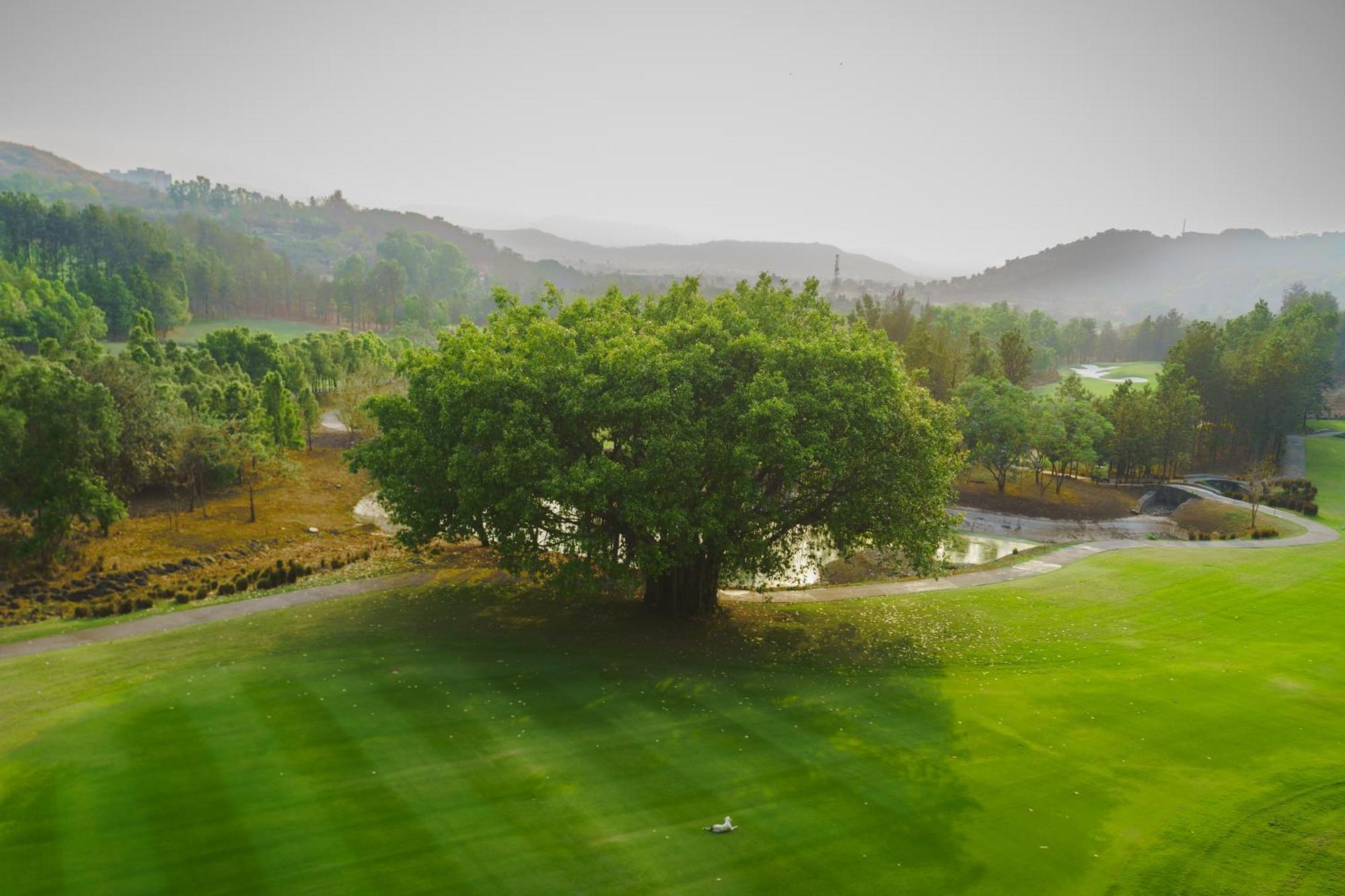 Oxford Golf Resort Pirangut Exterior photo